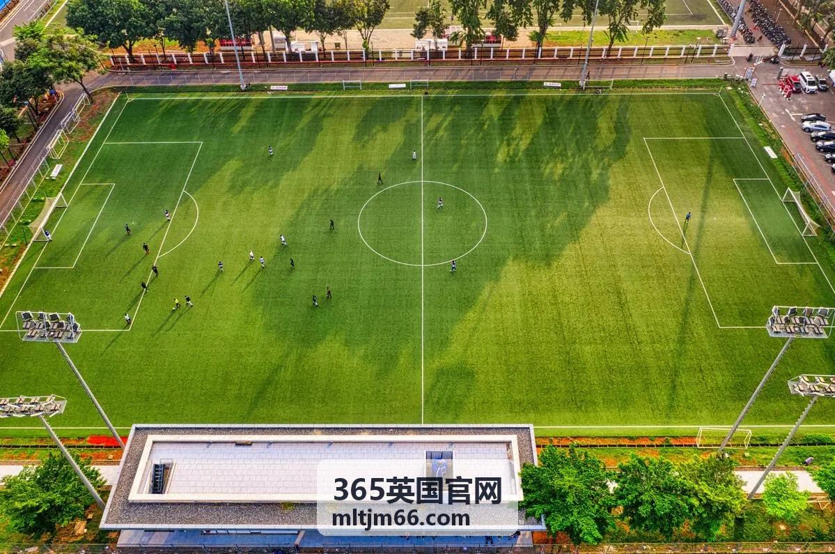 365英国官网球迷头像二